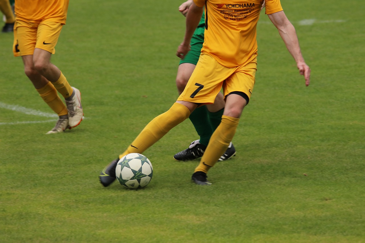 这一壮举不 这一壮举不