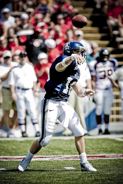 这使得他们 这使得他们